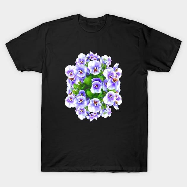 Flower Pansies T-Shirt by Light Beacon